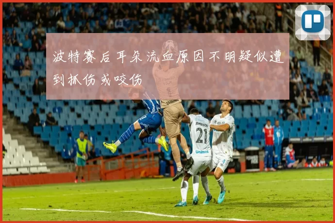 波特赛后耳朵流血原因不明疑似遭到抓伤或咬伤